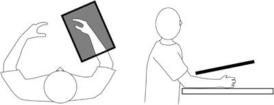 Influence of Visual Stimulation-Induced Passive Reproduction of Motor Images in the Brain on Motor Paralysis After Stroke